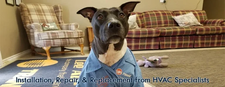 installation-repair-replacement-from-hvac-specialist