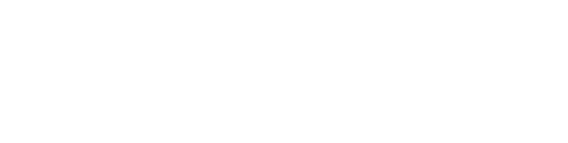 LeeAirServices.com Logo - White